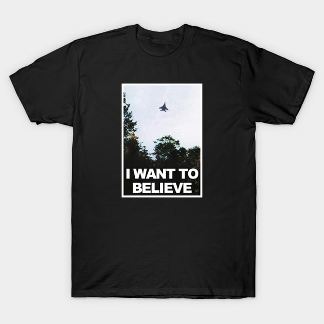 Ghost of Kyiv - I Want To Believe T-Shirt by Mudhen Apparel